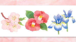桜・椿・アヤメのイラスト紹介ページのサムネイル