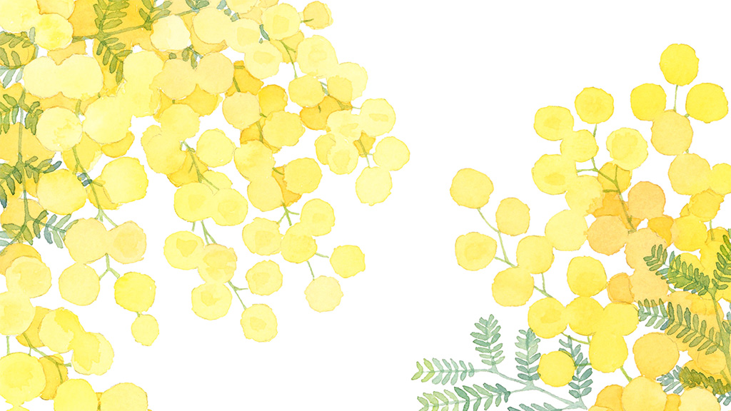 ミモザのイラスト紹介ページのサムネイル