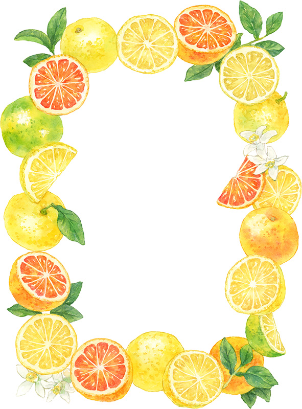 水彩で描いたグレープフルーツのフレーム