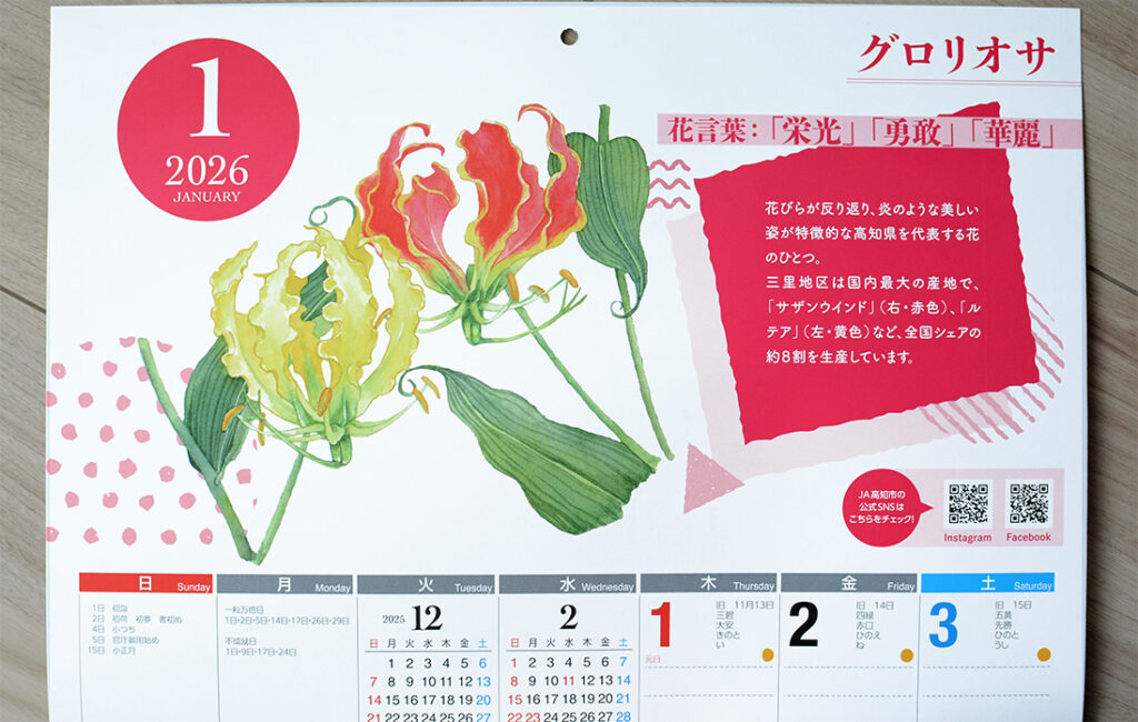 １月のカレンダー用　グロリオサの水彩イラスト