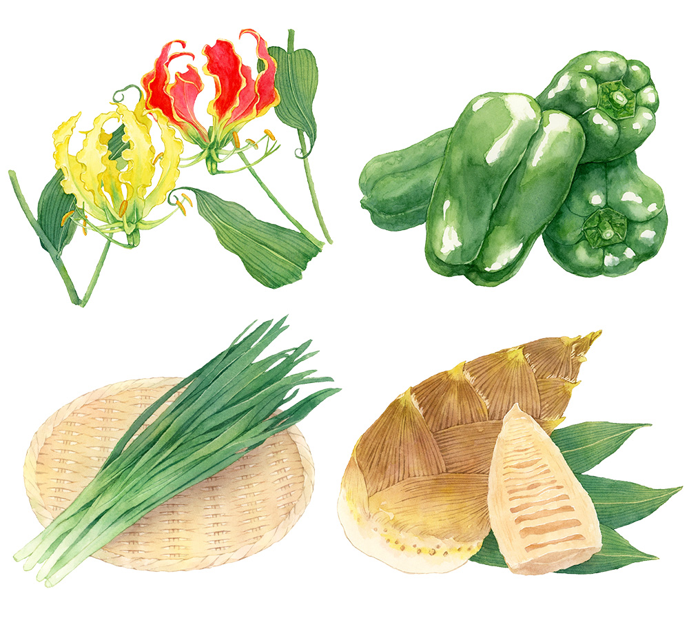 農作物の水彩イラスト。グロリオサ、ピーマン、ニラ、タケノコ。