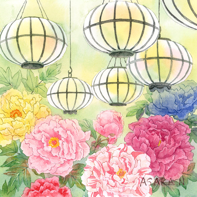 提灯と牡丹の水彩イラスト